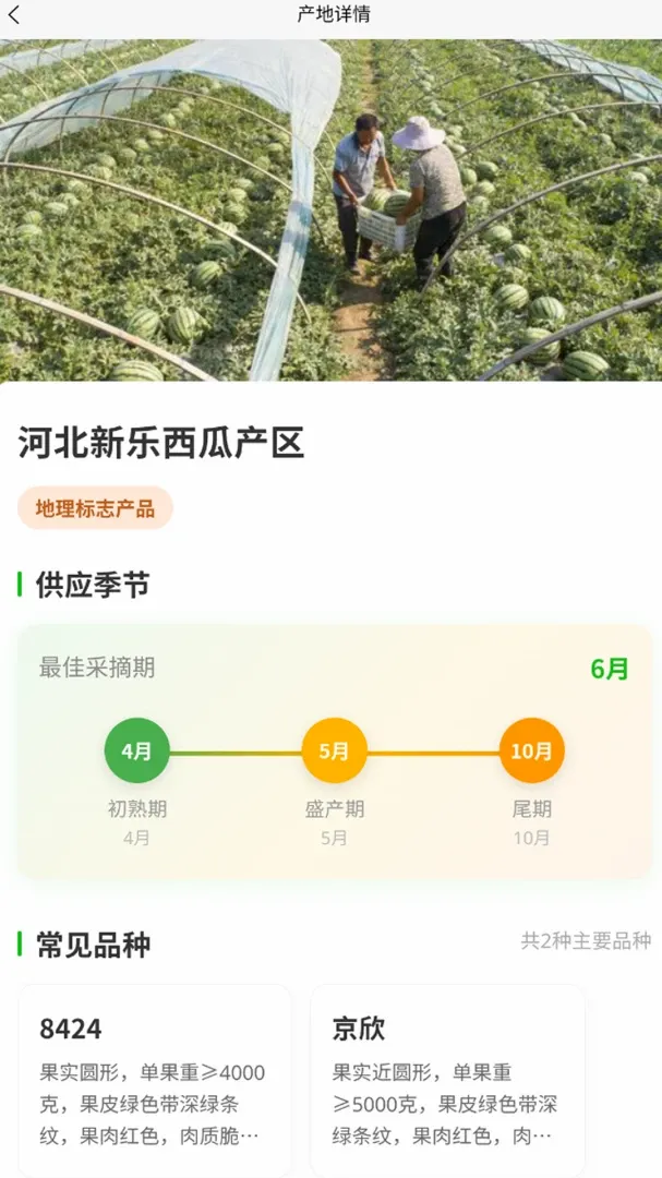 菜查查(智慧农批管理工具) 菜查查(智慧农批管理工具)