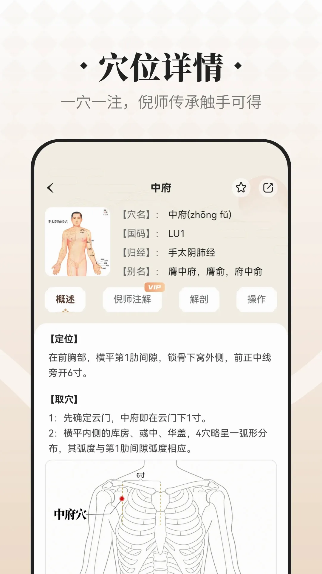 吉真倪师(中医易理实用工具) 吉真倪师(中医易理实用工具)