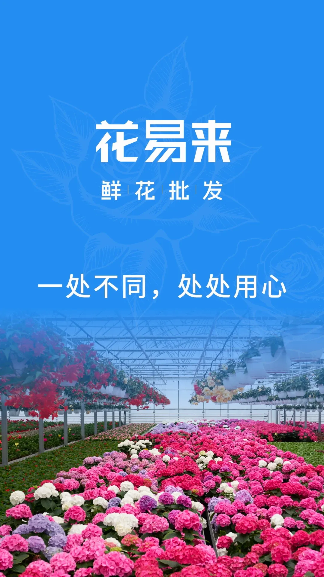 花易来2026官方最新版本 花易来2026官方最新版本