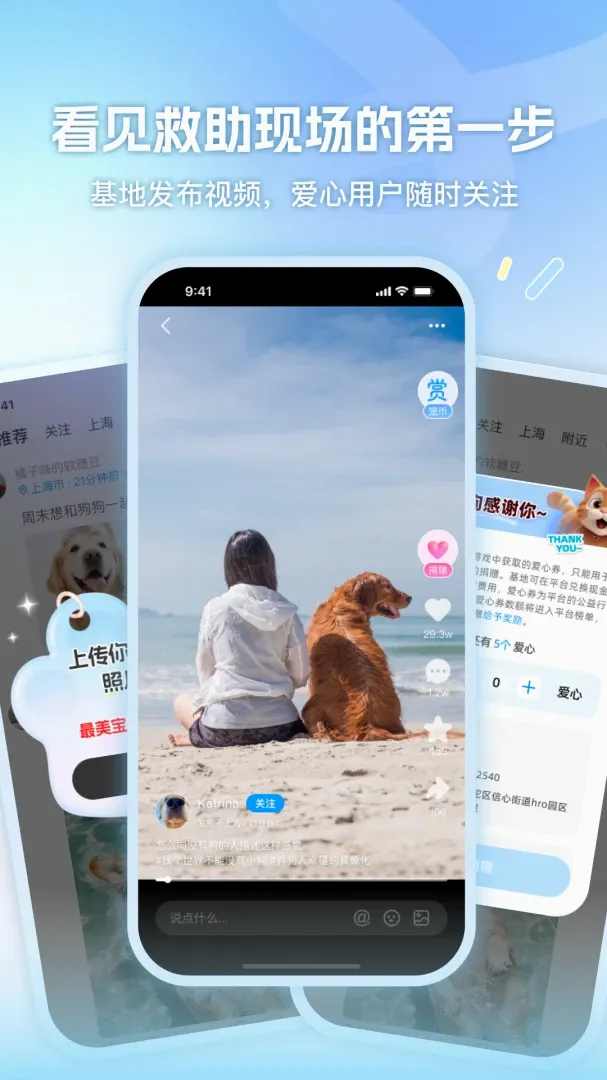 绒屿(流浪动物公益平台) 绒屿(流浪动物公益平台)