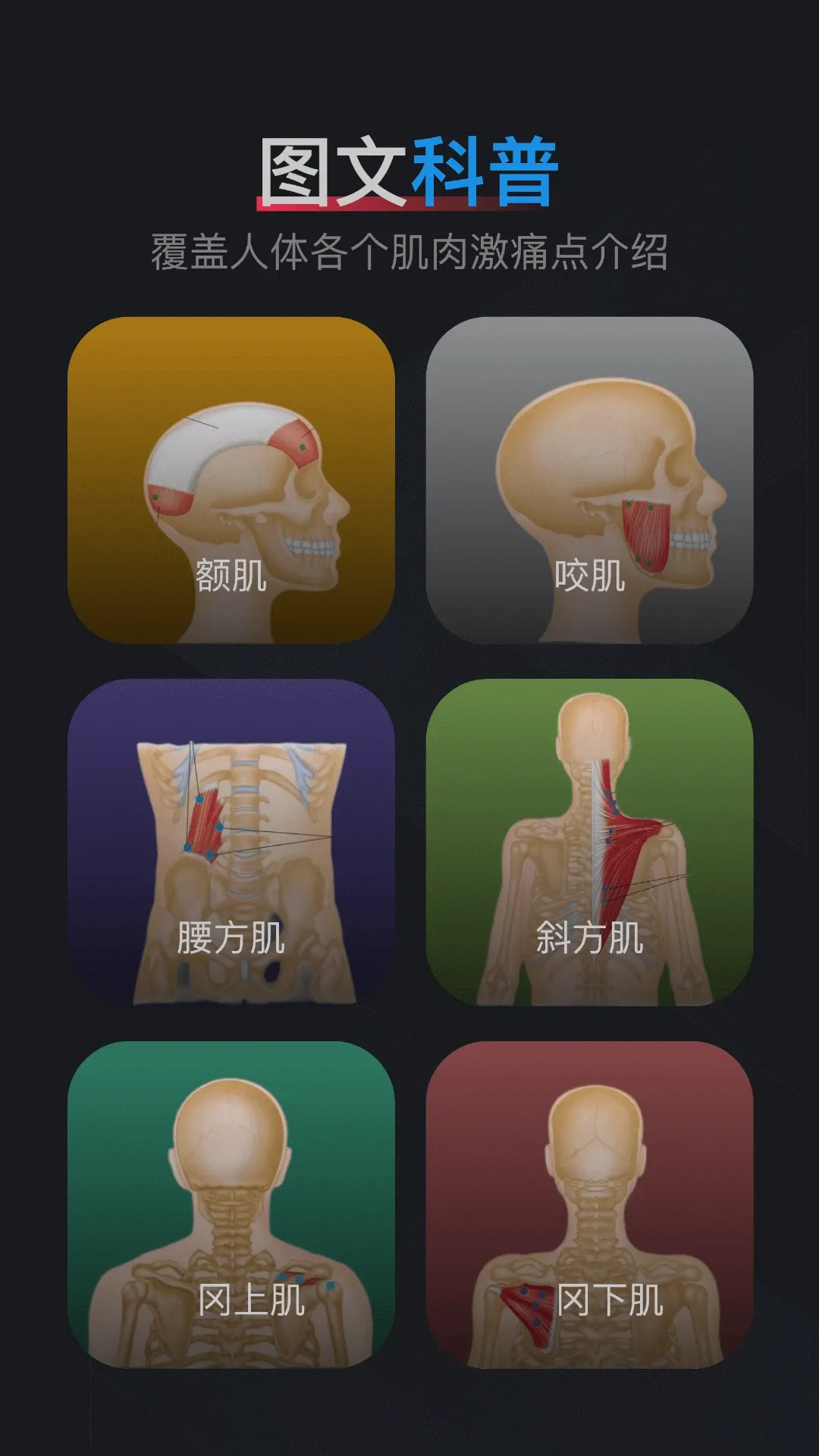 ���⼤ʹ��ͼ��2026���°汾v1.2 �ֻ���