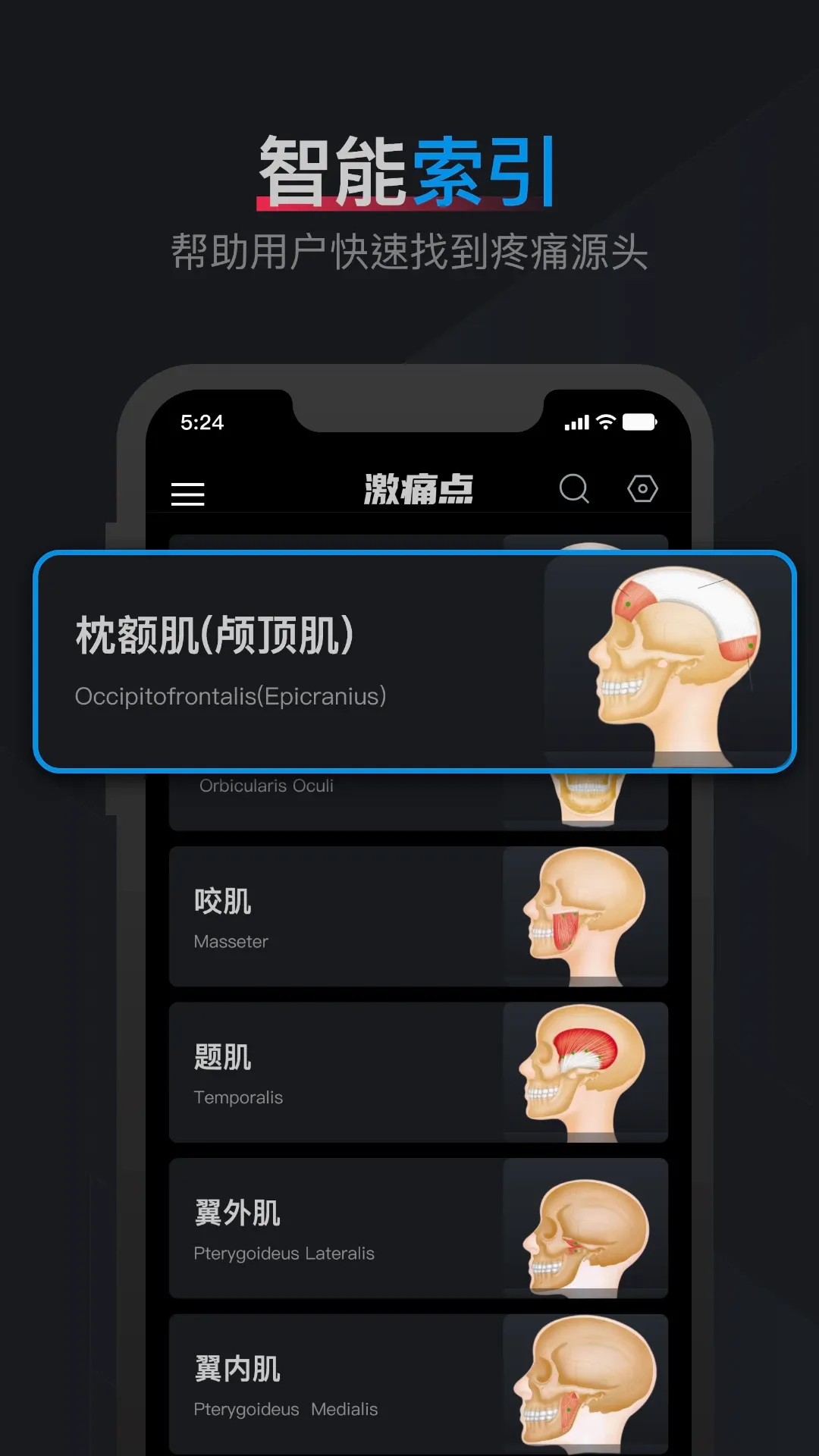 肌肉激痛点图谱2026最新版本 肌肉激痛点图谱2026最新版本