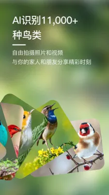 Bird Lover2026���°汾v2.0.0 �ֻ���