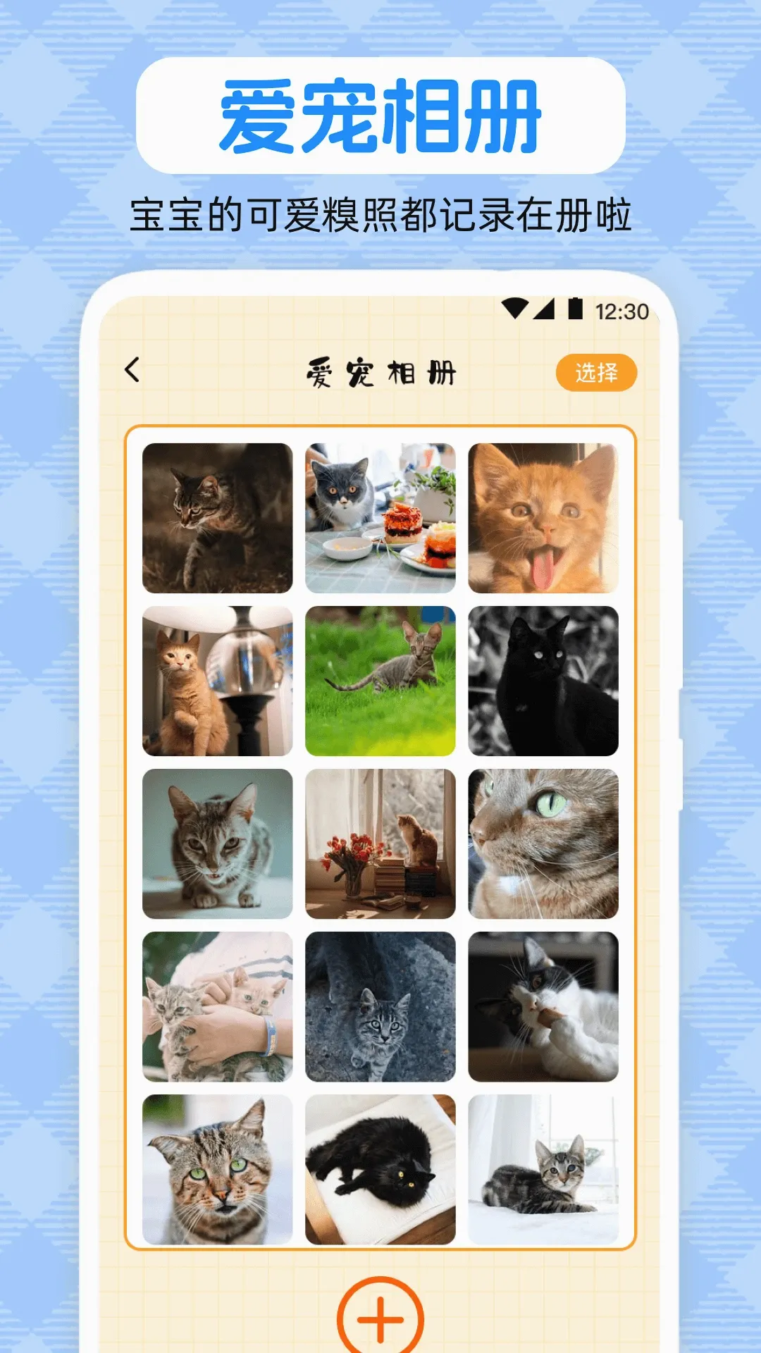 ���﷭����pet2026�ٷ����°汾v2.1.2066 ��׿��