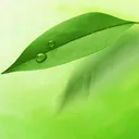 中医执业医师app2026最新版本v1.21 手机版