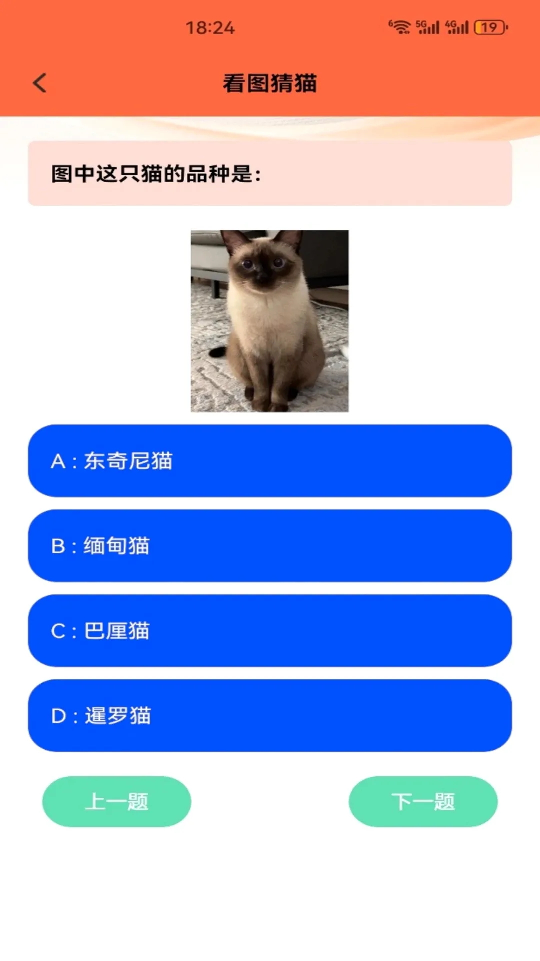 暖暖猫咪(养猫互动工具) 暖暖猫咪(养猫互动工具)