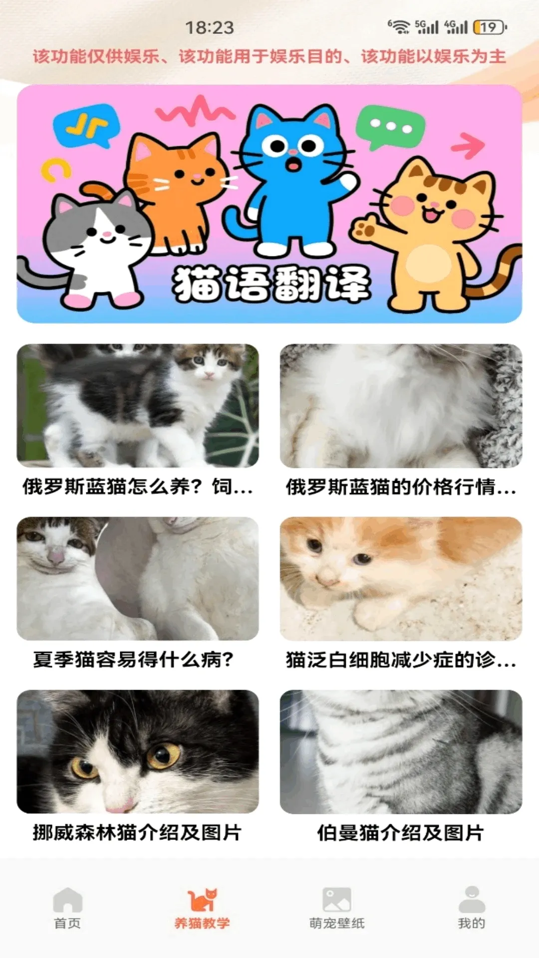 暖暖猫咪(养猫互动工具) 暖暖猫咪(养猫互动工具)