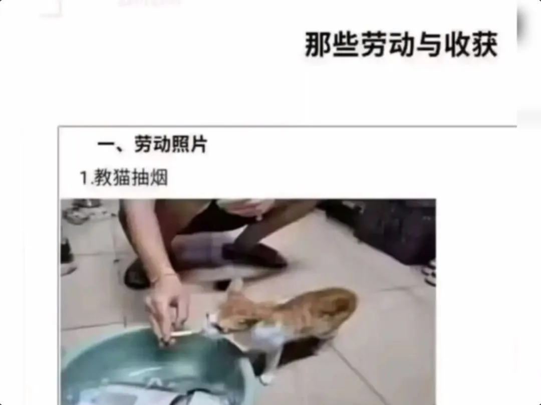 企鹅快跑最新手机版 企鹅快跑最新手机版