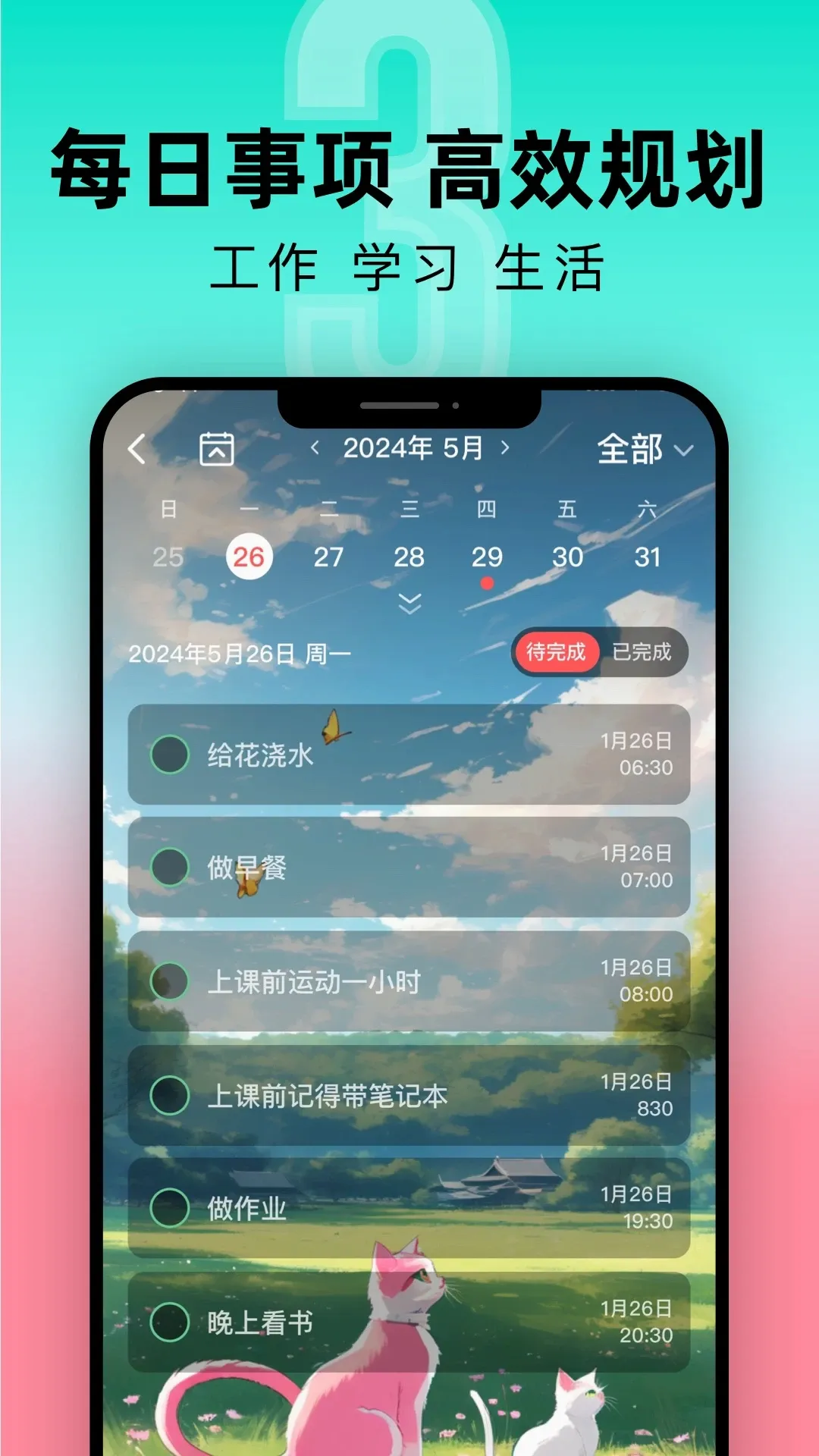 ����ʱDDD2026�ٷ����°汾v9.2.5 �ֻ���