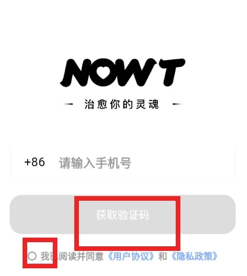 NOWT����ƽ̨2026�ٷ����°汾