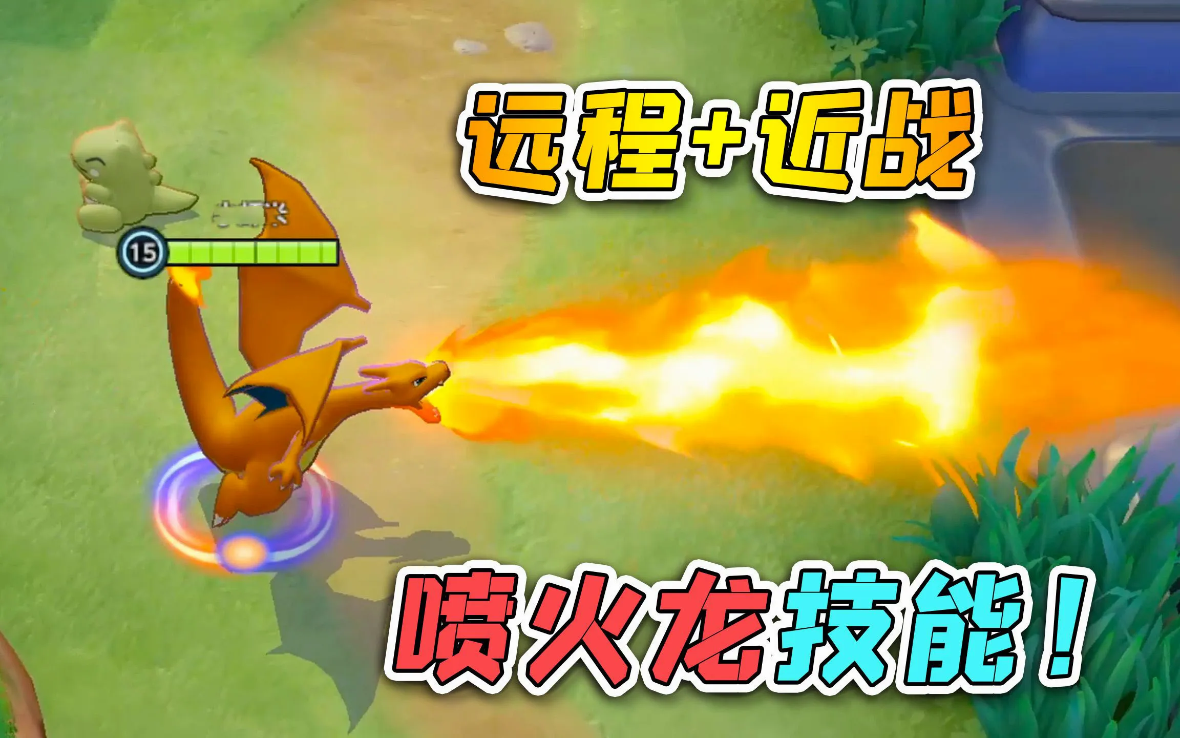 宝可梦大集结2026最新版本 宝可梦大集结2026最新版本