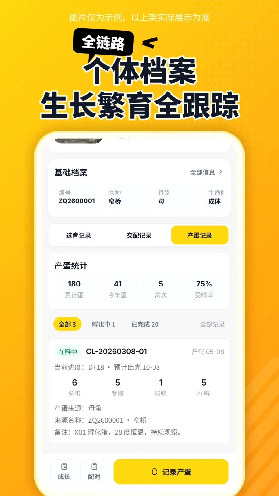 ������v1.0.2 �ֻ���