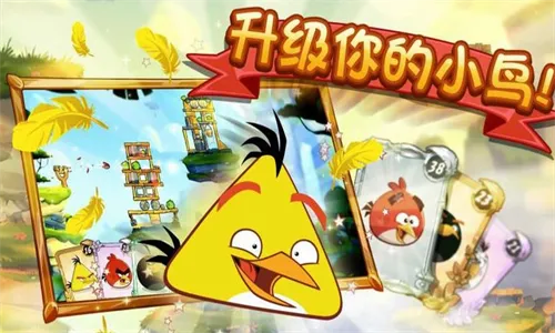 愤怒的小鸟2026最新版本 愤怒的小鸟2026最新版本