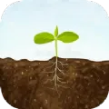 ��ͼ����2026���°汾v1.1 �ֻ���