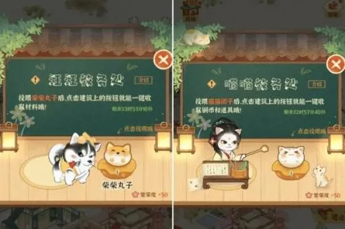 ĳĳ����Ů���ַ�2026�ٷ����°汾
