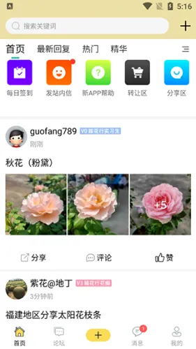̤����2026�ٷ����°汾