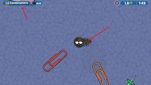 ��ζ�����ռ�һ�����İ�