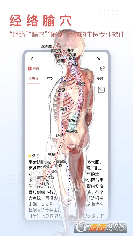 3dbody������������v8.9.21 �ֻ���