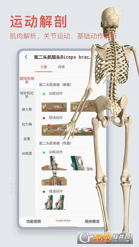 3dbody������������v8.9.21 �ֻ���