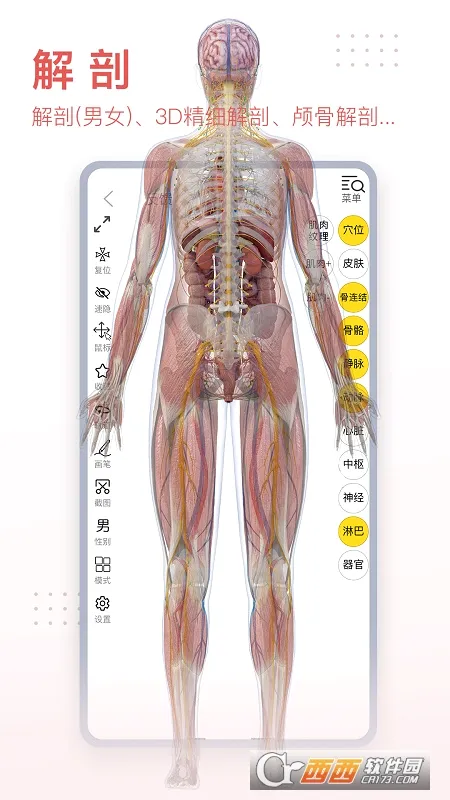 3dbody������������v8.9.21 �ֻ���