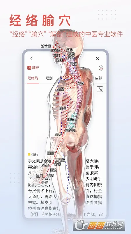3dbody�������İ�v8.9.21 ��׿��