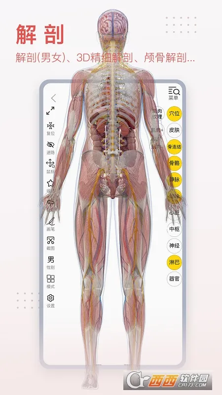 3dbody�������İ�v8.9.21 ��׿��