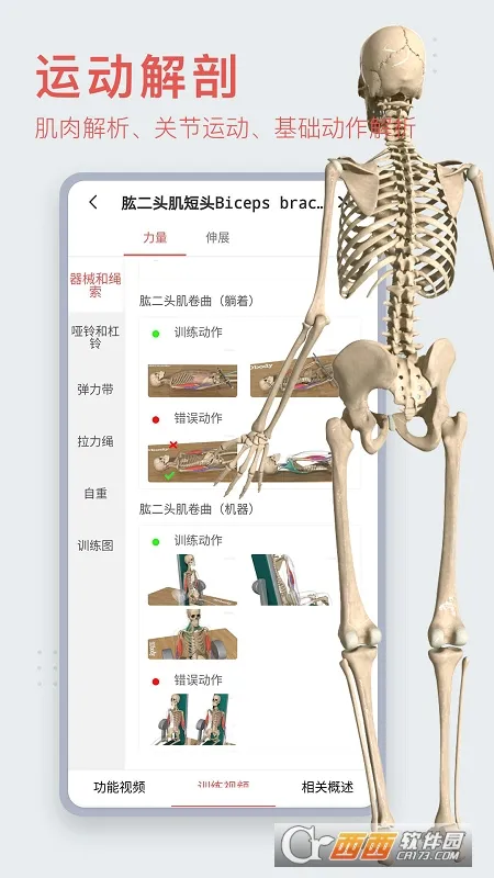 3dbody�������İ�v8.9.21 ��׿��