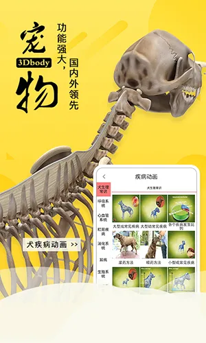 3dbody�������İ�