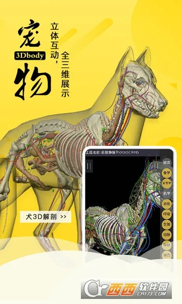 3dbody�������İ�