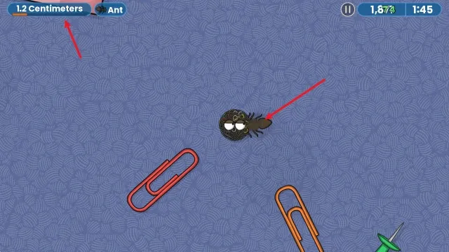 ��ζ�����ռ�һ��ȫ����ͼ��������