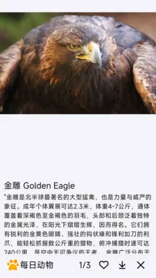 ÿ�ն���2026���°汾v1.0.0 ��׿��