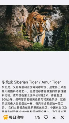 ÿ�ն���2026���°汾v1.0.0 ��׿��