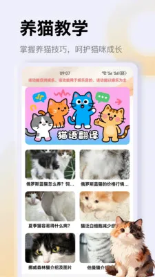 ����è��app2026���°汾v1.3 �ֻ���