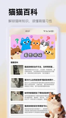 ����è��app2026���°汾v1.3 �ֻ���
