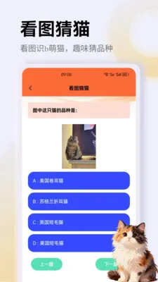 ����è��app2026���°汾v1.3 �ֻ���