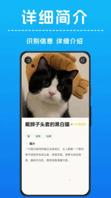 AI����ʶ��(����ʶ�﹤��)v1.0.5 �ֻ���
