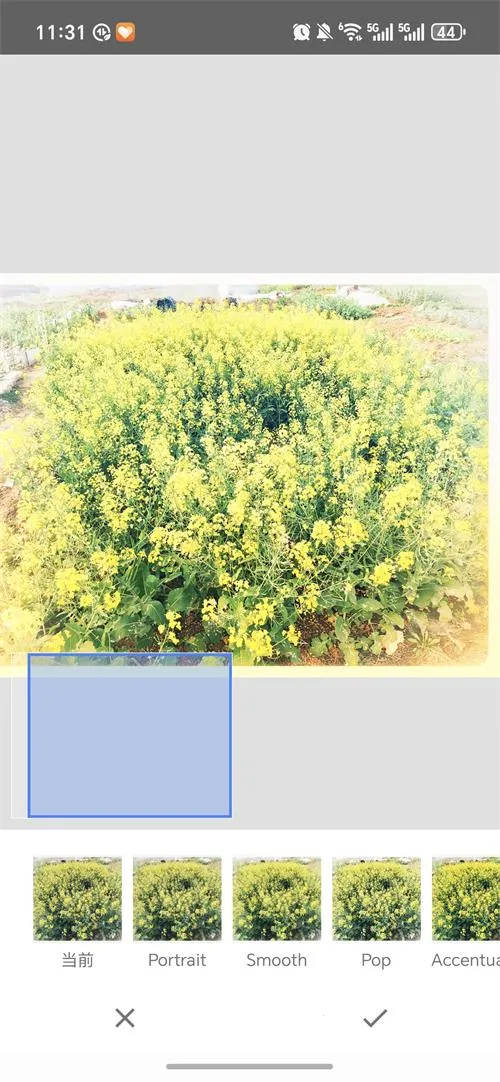 BetterSeed(רҵ��ͼ����)v2.22.0.633363672 �ֻ���