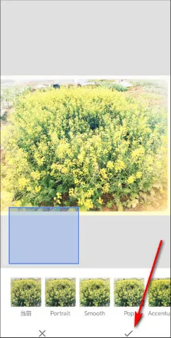 BetterSeed(专业修图软件) BetterSeed(专业修图软件)