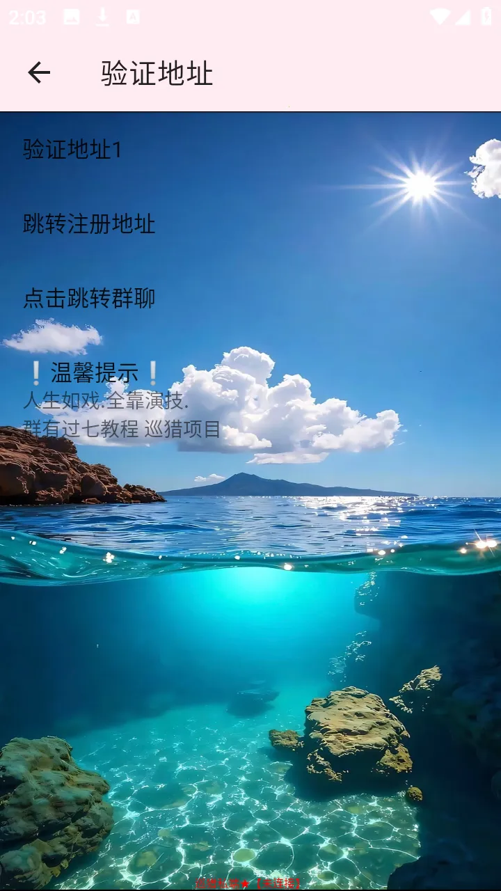 Ѳ��˽��(���������Ż���)vѲ��˽�� �ֻ���