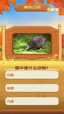 һ���ͻ�2026���°汾v1.0.3 ��׿��