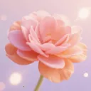 үү�İٲ��û���(�ʻ�����Ӧ��)v1.5 ��׿��