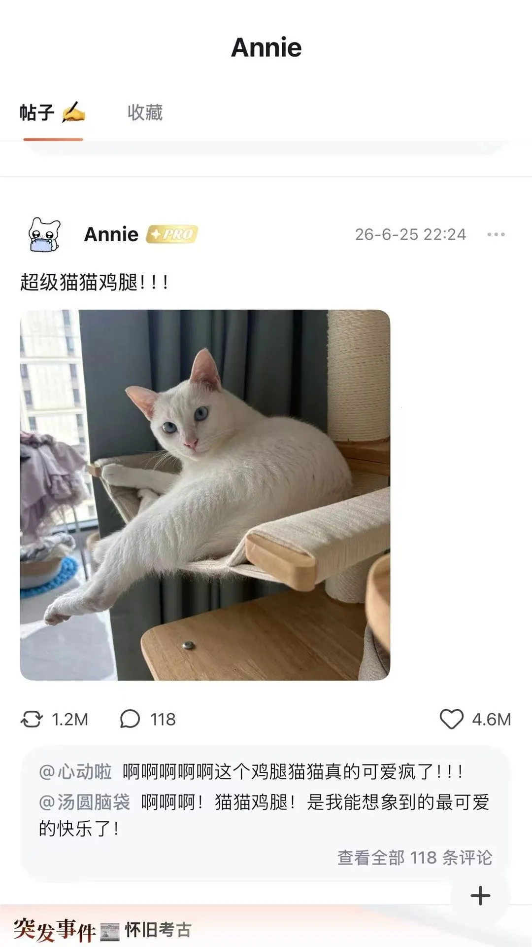 ���App(���ܻ���Ӧ��)v0.1.4 ��׿��