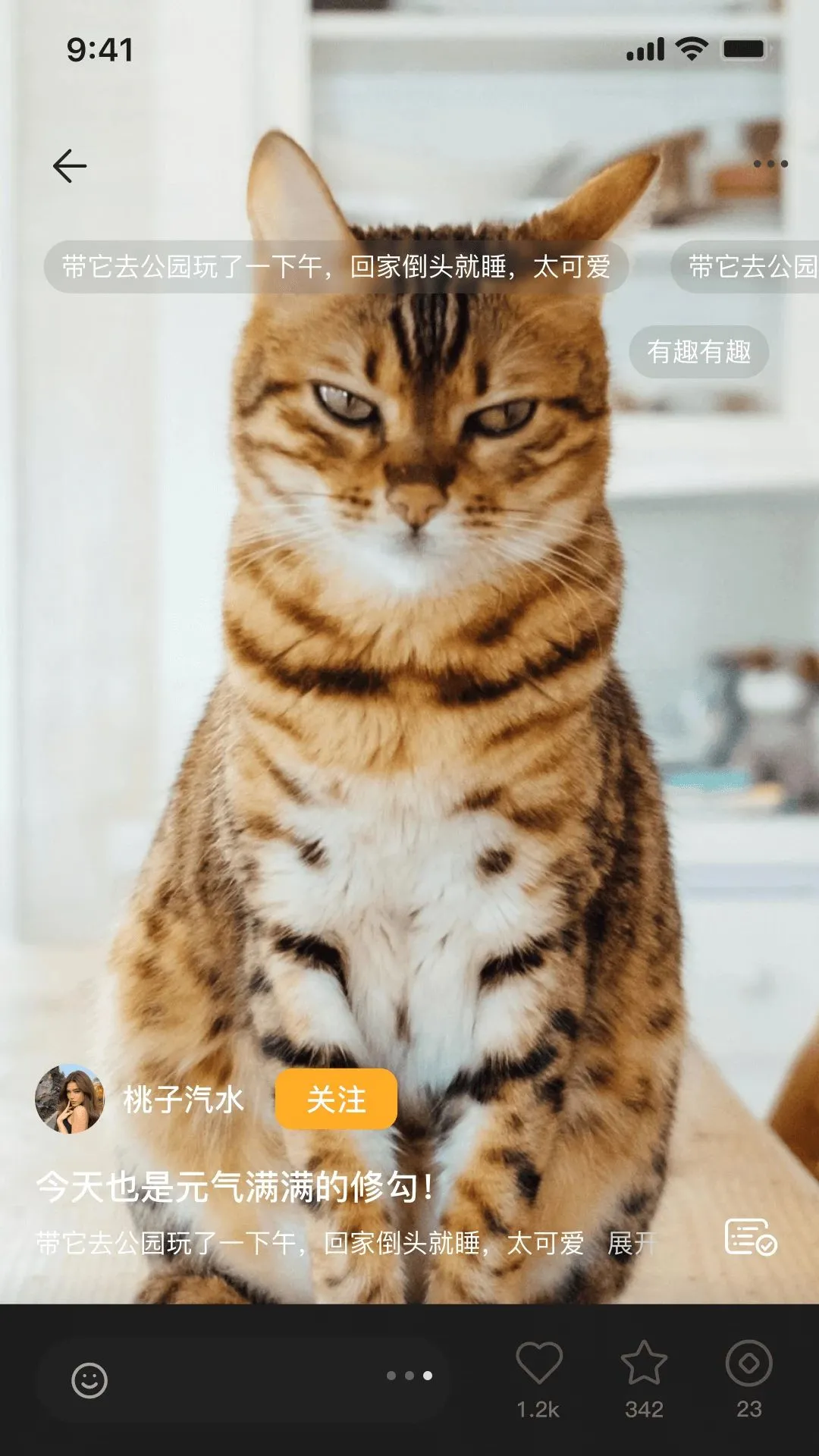 �޻�APP(�๦�ܴ����罻ƽ̨)v1.0.6 �ֻ���