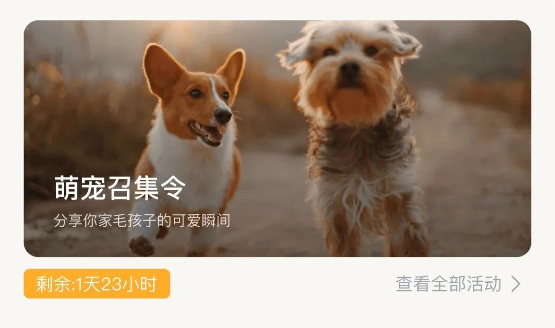 �޻�APP(�๦�ܴ����罻ƽ̨)v1.0.6 �ֻ���
