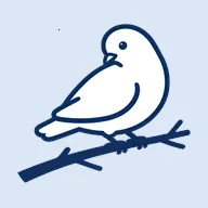 BB空间第三方B站(bbspace最新手机版v1.4.9 手机版