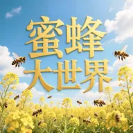 �۷�����������ֻ���v1.0.9 �ֻ���