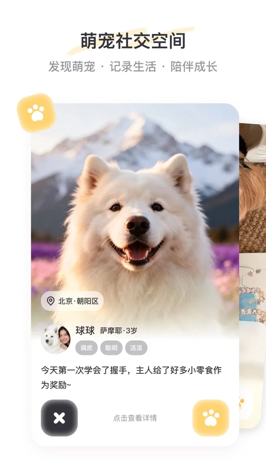 PetSpace2026�ٷ����°汾v2.3.1 �ֻ���