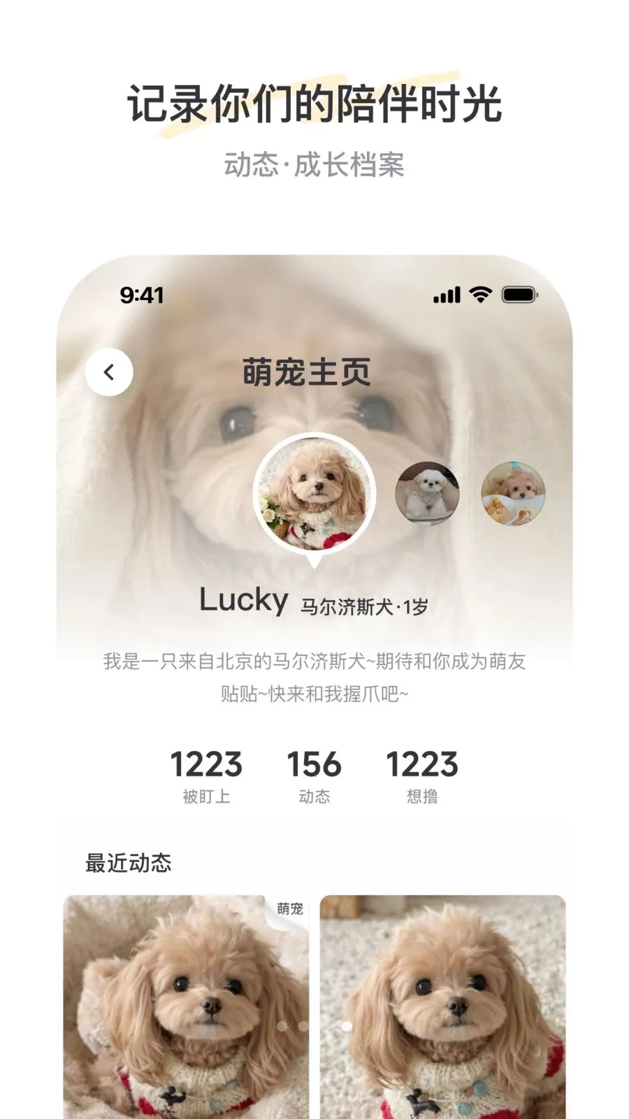 PetSpace2026�ٷ����°汾v2.3.1 �ֻ���