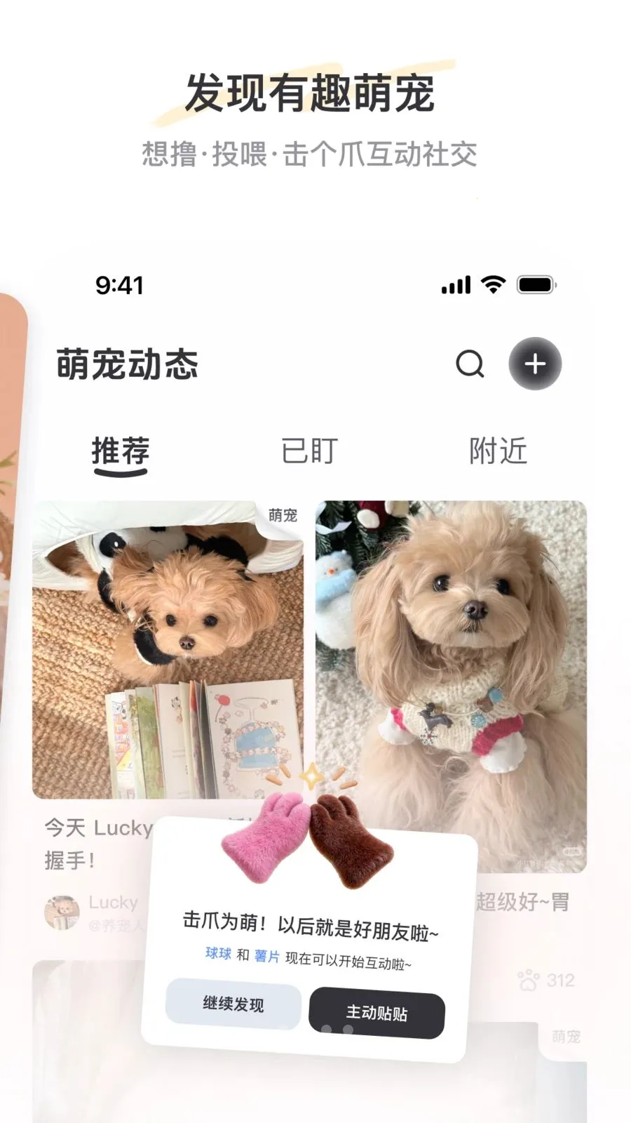 PetSpace2026�ٷ����°汾v2.3.1 �ֻ���