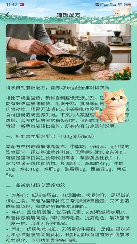 飞菲猫助手最新手机版 飞菲猫助手最新手机版